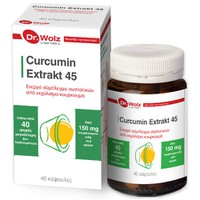 CURCUMIN EXTRAKT 40CAPS 