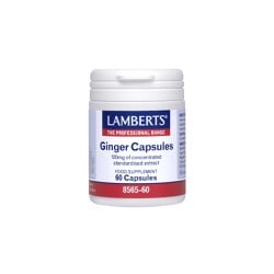 Lamberts Ginger 120mg For Digestive Dysfunction 60 capsules