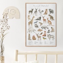 Watercolor alphabet with animals wall