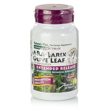 Natures Plus Ara Larix Olive Leaf 750mg (Extended Release) - Ανοσοποιητικό, 30vcaps