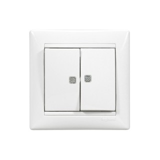 Valena Switch 2P With Indication Recessed White 77