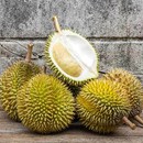 Puterea durianului – Poate vindeca infertilitatea?