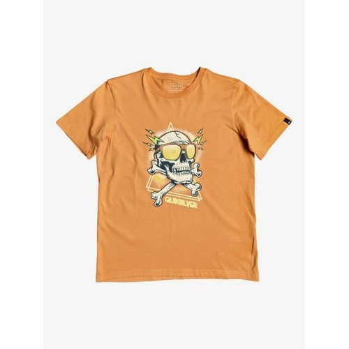 Quiksilver Kids Hellrevivalssyh Tees for Boys (EQB
