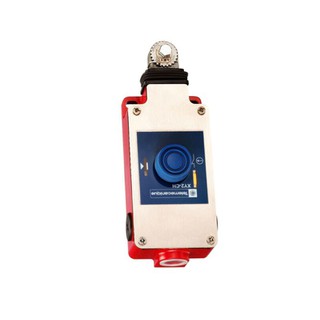 Rope Pull Switch 1NC+1NO XY2CH13250H29