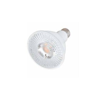 Bulb LED PAR30 12W 4000K White Natural Dim 2.120.0