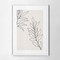 Minimal abstract branches white