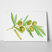 Watercolor olive branch 715842097 a
