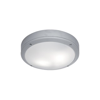 Outdoor Ceiling Light E27 Gray Leros 4049200