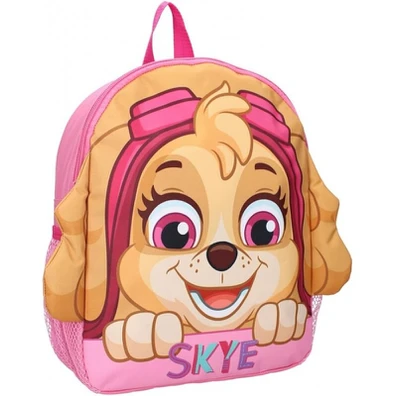 Σακιδιο paw Patrol go Team