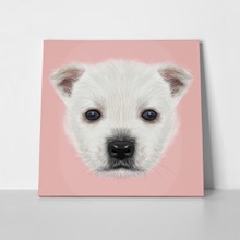 Illustrated portrait west highland white terrier 427899112 a