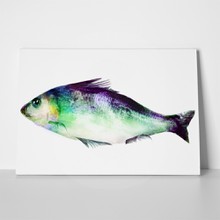 Watercolor fish 2 1023083839 a