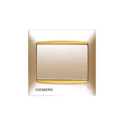 Coral Switch Plate With Label Gold Pearl