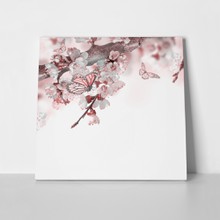Apricot flowers spring floral background 207529333 a