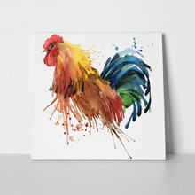 Rooster illustration splash 291600251 a