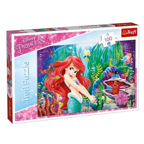 Puzzle Ariel 100Kom