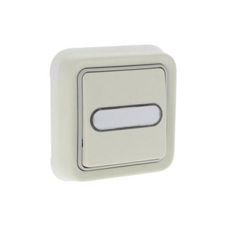 Plexo IP 55 Push Button Luminous With Label White 