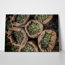 Harvested olives in sacks 2 520946839 a
