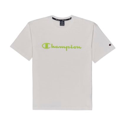 Champion Men Crewneck T-shirt (214234)