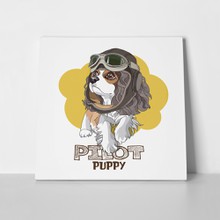 Puppy cavalier king charles spaniel pilot 553918675 a