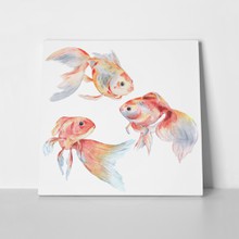 Gold fishes watercolor painting 551159287 a