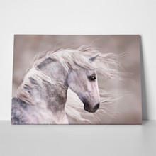 Grey horse digital paint 127042865 a
