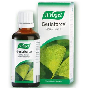 Geriaforce - Βάμμα από Φρέσκα Φύλλα Ginkgo Biloba.