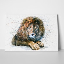 Lion watercolor splash 659646148 a