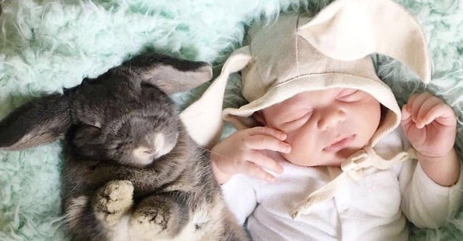 Бебе и зайче