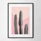 Cactus on pink black