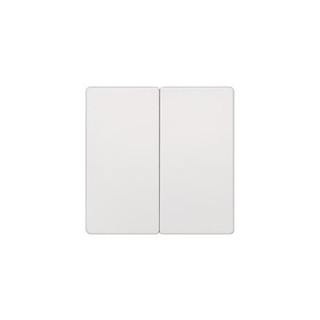 Delta Switch 2P Plate White 5TG6205