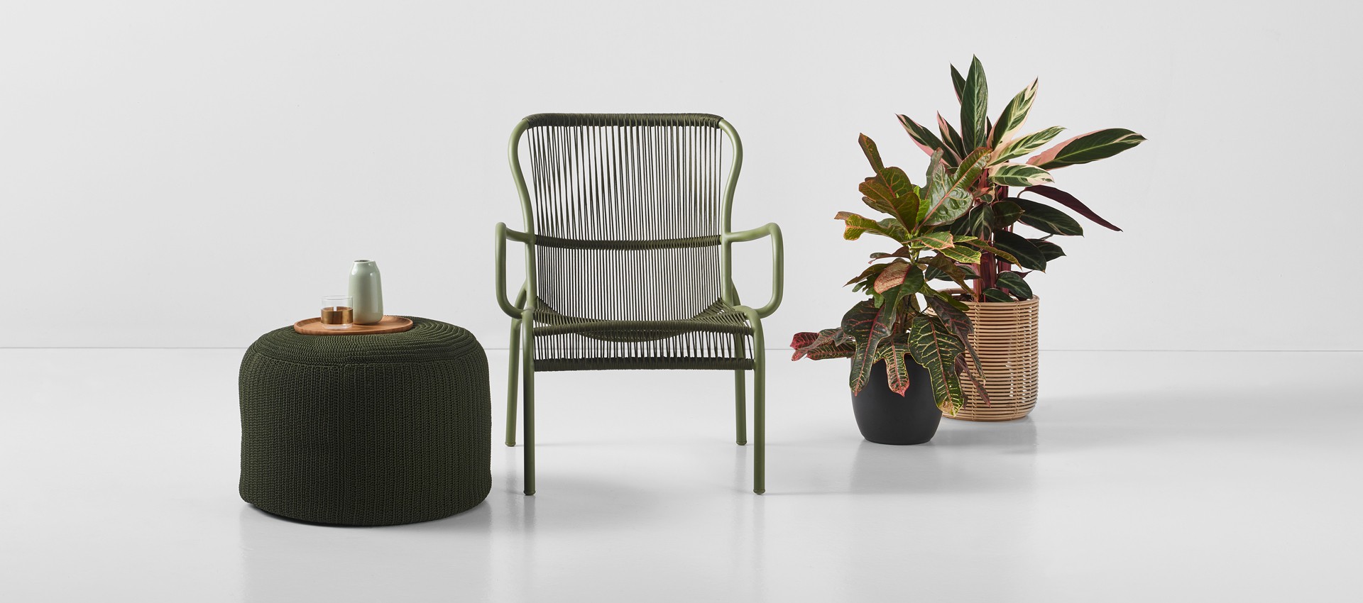 Collection Image 3