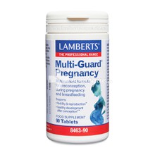 Lamberts Multi-Guard Pregnacy - Πολυβιταμίνη, 90 tabs