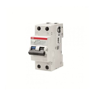 Residual Current Circuit Breakers with Overcurrent