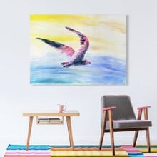 Colorful bird flying