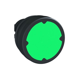 Button Head F37 Green ZB5AC380