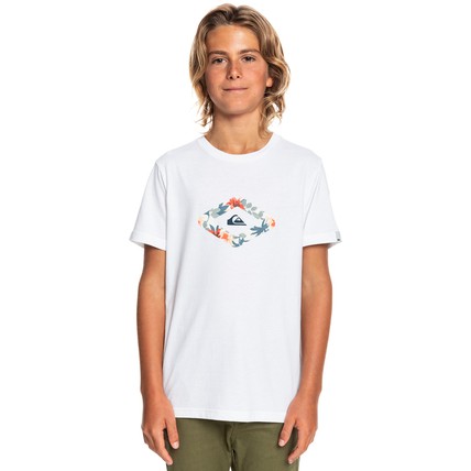 Quiksilver Youth Boys Let It Ride - Short Sleeve T