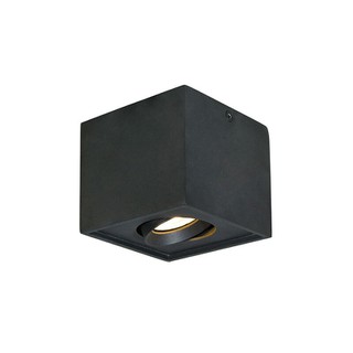 Φωτιστικό Οροφής GU10 Μαύρο Arion 4260901