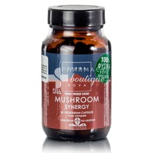 Terranova Mushroom Synergy - Ανοσοποιητικό, 50caps