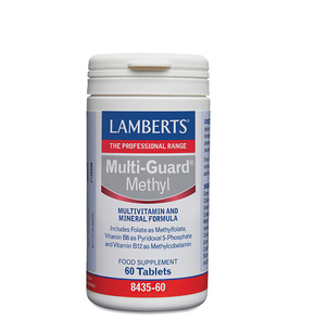 Lamberts Multi Guard-Methyl Πολυβιταμίνη, 60 Ταμπλ