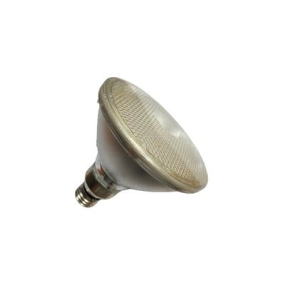 Hard Glass Lamp Led PAR38 5.5W E27 240V Blue