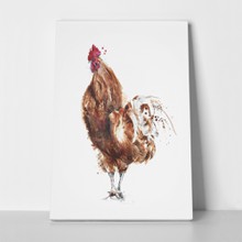 Rooster watercolor painting bird 216532078 a