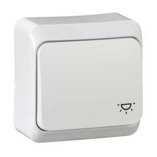Prima Push Button with Light Symbol White WDE00101
