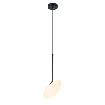 Pendant Light Black Led 3000K 5W