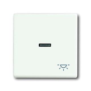 Switch Plate White 1789 LI-884 46025