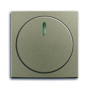 Basic55 Dimmer Plate Champagne 2115-93 49831