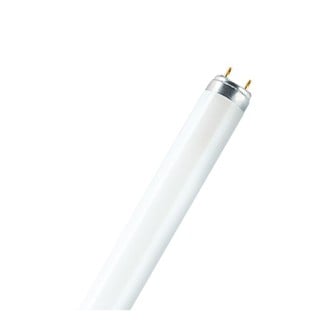 Fluorescent Lamp T8 L 36W/840 4000K 5200lm 4050300