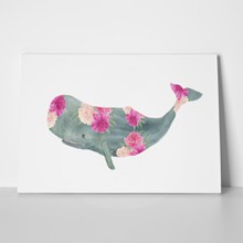 Whale peony flowers 658158502 a