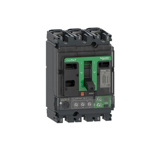 Circuit Breaker NSX250N 50kA 415VAC 3P MicroLogic 
