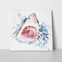 Shark attack watercolor 297479750 a