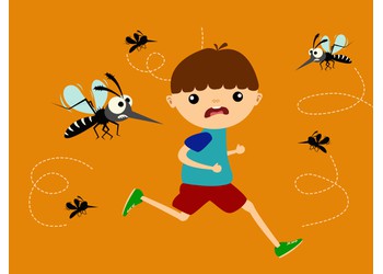 Κουνούπια: Γιατί μας τσιμπάνε; Πως θα αντιμετωπίσο